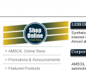 amsoil site before clicking on BuyNow on a dealers website.PNG