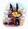 wile-e-coyote-2.jpg