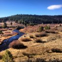 Tahoe National Forest.jpg