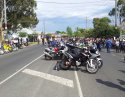 Husky in a sea of bikes.jpg