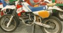 1613_isde-1986-san-pellegrino.jpg