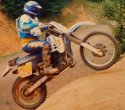 1987-Husqvarna-WR250-357818.jpg