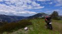 Feathertop From the top of Stony Top Tk.JPG