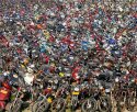 junk-yards-in-china-04.jpg