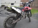 curly fern enduro 008.jpg
