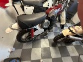 IMG_1407.jpeg