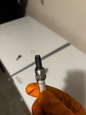 IMG_0032.jpeg