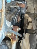 IMG_1386.jpeg