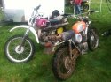 husky 005.jpg