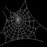 cobweb