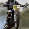 dirtydog